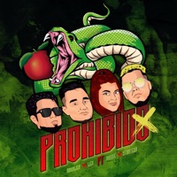 Prohibido (feat. Anggie & Stratega) - Single - Anhylier y Lex