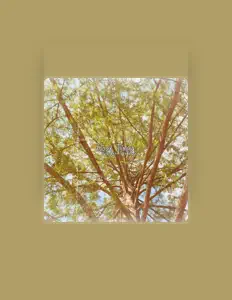 Listen to Evergreen Dream, watch music videos, read bio, see tour dates & more!