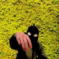 Lumbridge - Single - Milkreset