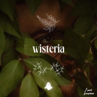 Wisteria - Single - Sam Bowman