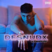 Desnudx artwork