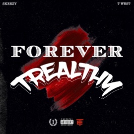 IN MY MOOD (feat. ROBTWO & SPB NEWBORN) Skeezyontherecord & T West