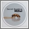 Secret Beehive - Single