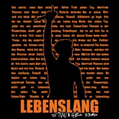 LEBENSLANG (STVW & HBz Remix - Extended Version) artwork