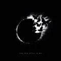 The Sun Still In Me