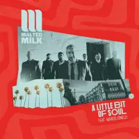 A Little Bit of Soul (feat. Marco Cinelli) — Malted Milk