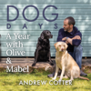 Dog Days - Andrew Cotter