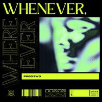 Whenever, Wherever - Single - ZWD