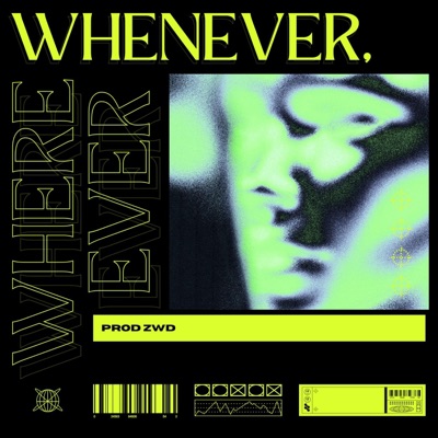 Whenever, Wherever - Single
