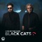 Barbie - Black Cats lyrics