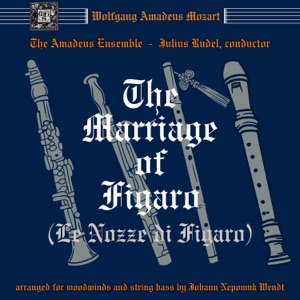 Mozart: Harmoniemusik - Operas Arranged for Wind Ensemble & String Bass, Volume 1