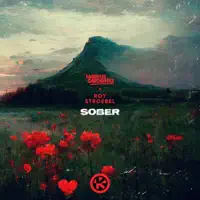 Sober — Markus Gardeweg & Roy Stroebel