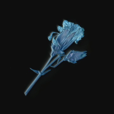 Flores en el abismo (Lado B) [Acoustic Version] - Single