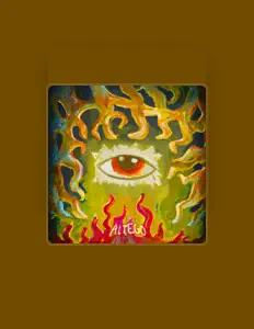 聆聽 AltEgo、觀看音樂影片、閱讀小傳、查看巡演日期等！