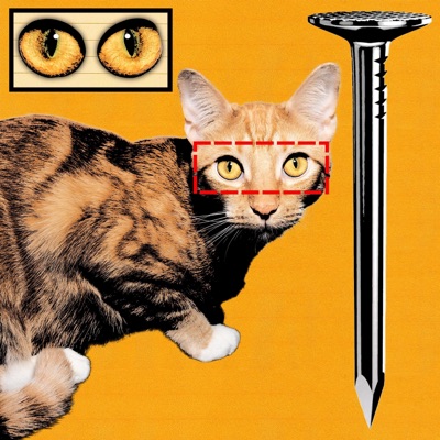 Bite His Nails - Single