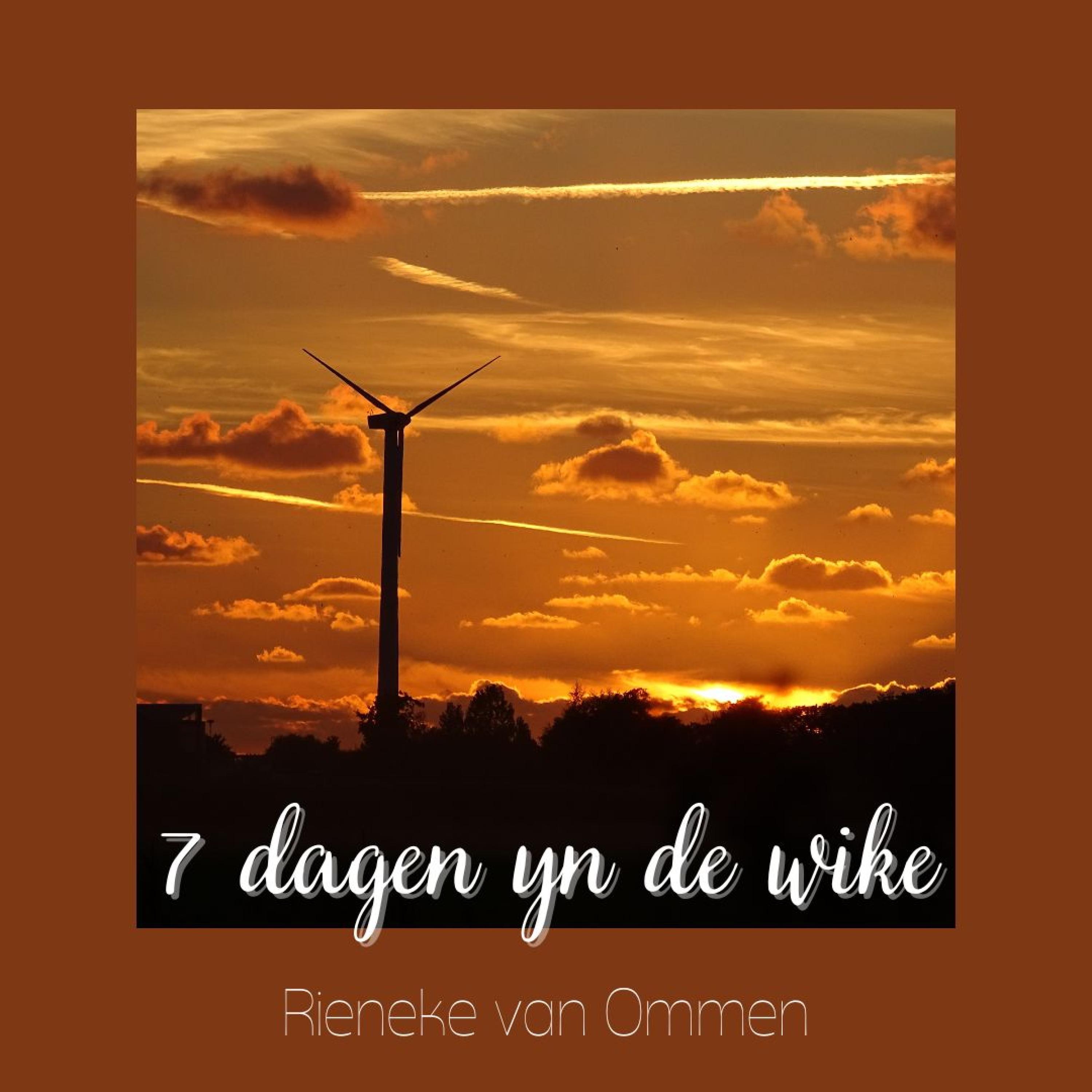 7 Dagen Yn De Wike - Single