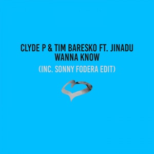 Wanna Know (feat. Jinadu) [Radio Edit] - Single