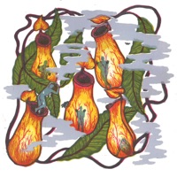 Everything Just Sprawls - Single - Mumbles