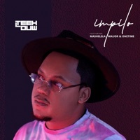 Impilo (feat. Mashelela, Maijor & Onetime) - Single - Teehlouw