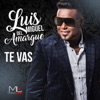 Te Vas (Bachata) - Single