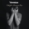 Vermisse (feat. MAXIMUM RAV) - Single