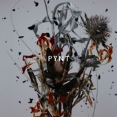 PYNT - EP artwork