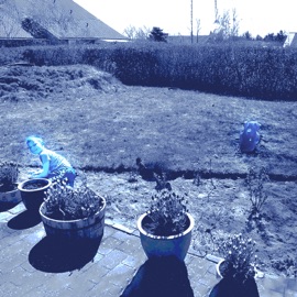 what you tryna do? (feat. thrml & pdktp) FLTR