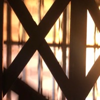 Cuando No Estás - Single - Pipø