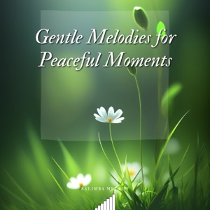 Gentle Melodies for Peaceful Moments