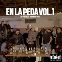 En La Peda, Vol. 1 (En Vivo) [feat. Vision Distinta] - Los 3 Aces
