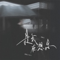 是我在想念 - Single - 邓阿九 & 钟游文AWEN