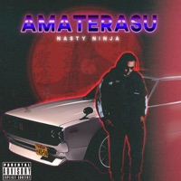 Amaterasu - Nasty Ninja
