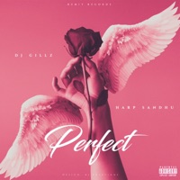 Perfect - Single - DJ Gillz & Harp Sandhu