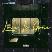 Love Is Gone (Cover) artwork
