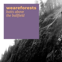 Batts Above the Ballfield - Single - Weareforests
