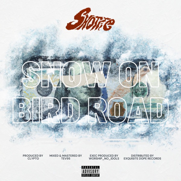 Snow On Bird Road