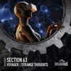 Voyager / Strange Thoughts - Single