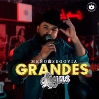 Grandes Ligas - Single - Meño Segovia