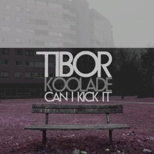 Can I Kick It - Single