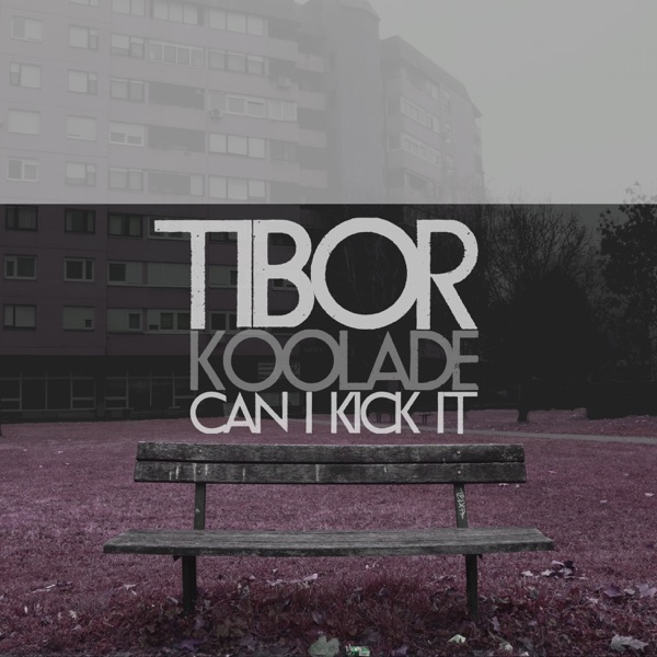 Can I Kick It - Single