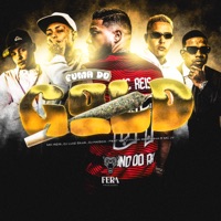 Fuma do Gold (feat. Mc Vitin Da Igrejinha) - Single - Dj Luiz Silva, MC Reis, DJ FAISCA & MC JV