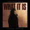 What It Is (Country Version) - Jonathan Davis lyrics