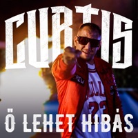 Ő lehet hibás - Single - Curtis