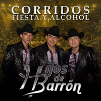 Corridos, Fiesta y Alcohol - Hijos De Barrón