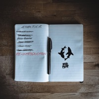 Re-Introduction - Single - Baddfxsh