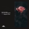 Magnetic Rose - Single