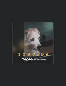 聆聽 Macaa、觀看音樂影片、閱讀小傳、查看巡演日期等！