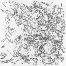 Poison Damage - XR Dub