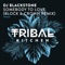 Somebody to Love (Block & Crown Extended Remix) - DJ Blackstone lyrics