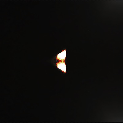 FOR THE NIGHT - Single